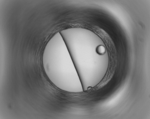 X0000113150767200909040932