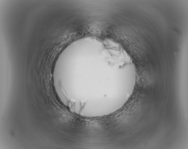 X0000113150769200909040931