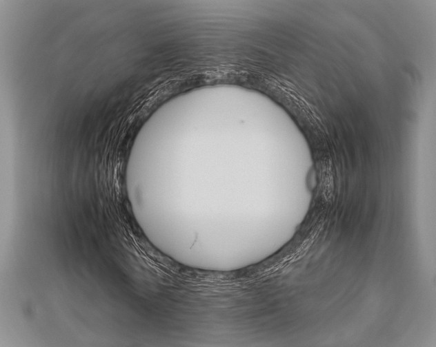 X0000113150770200909040931