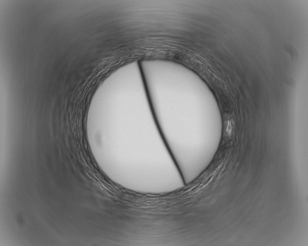X0000113150771200909040931