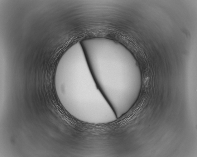 X0000113150772200909040931
