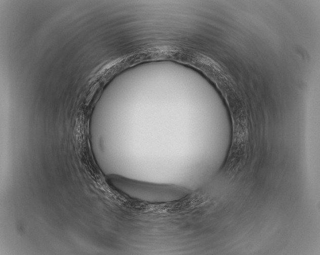 X0000113150773200909040931