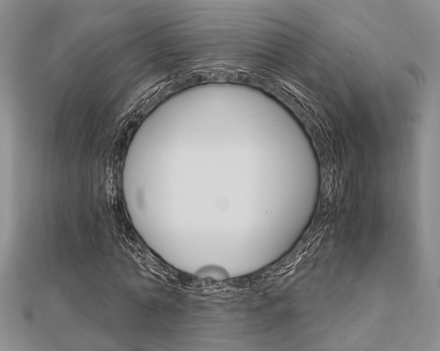 X0000113150774200909040931