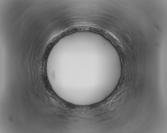 X0000113150775200909040931