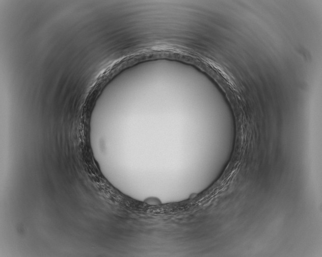 X0000113150776200909040931