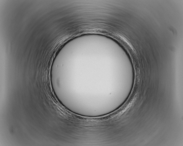 X0000113150777200909040931