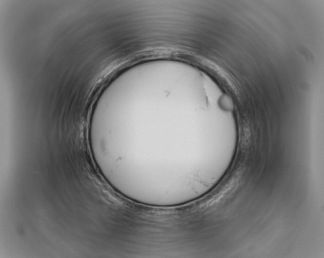 X0000113150778200909040931