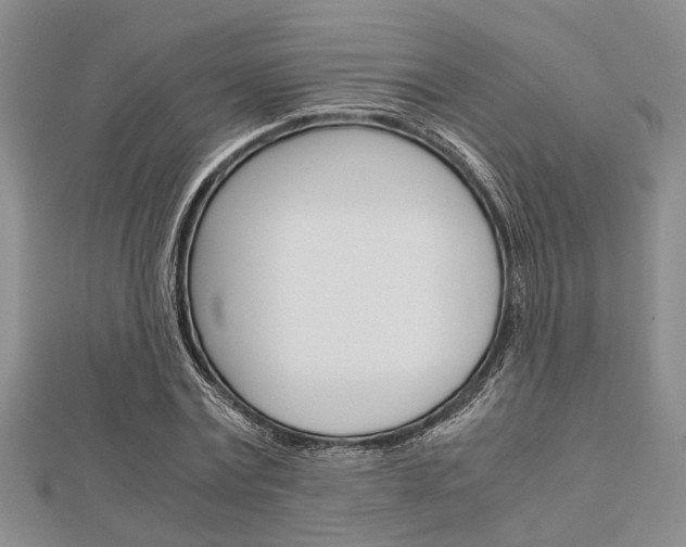 X0000113150779200909040931