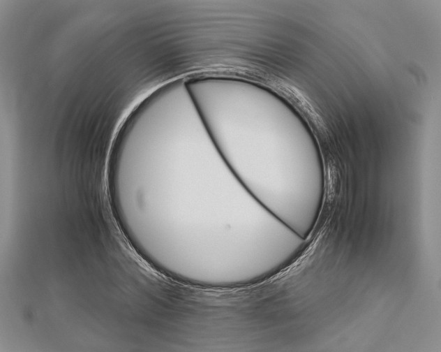 X0000113150780200909040931