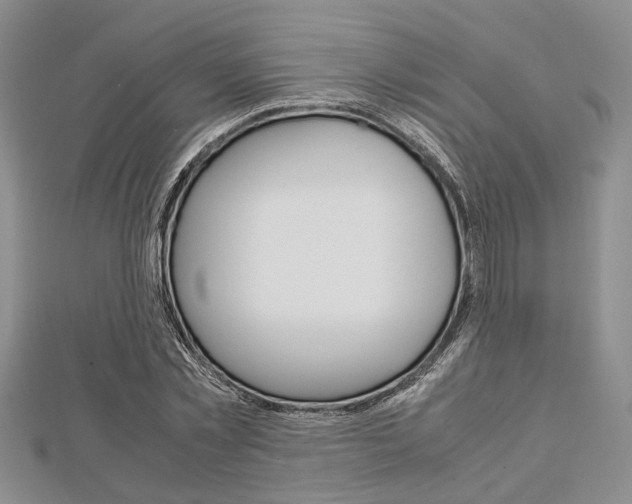 X0000113150781200909040931