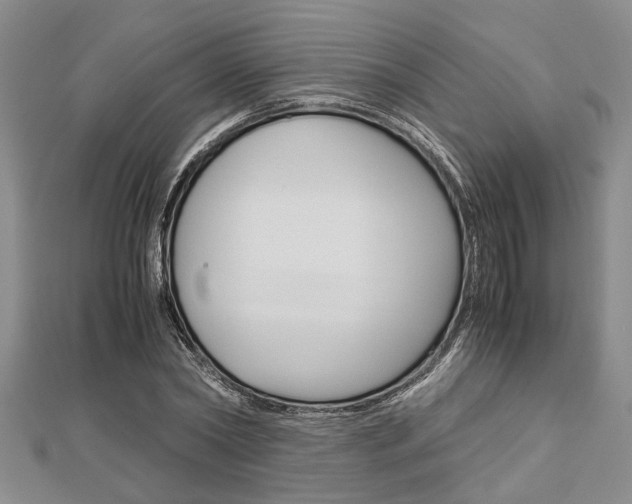X0000113150782200909040931