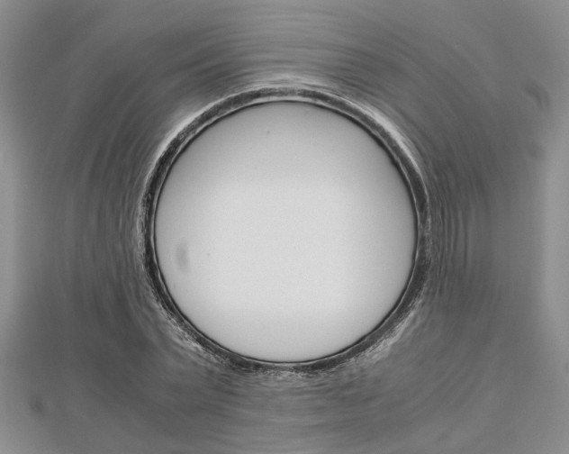 X0000113150783200909040931
