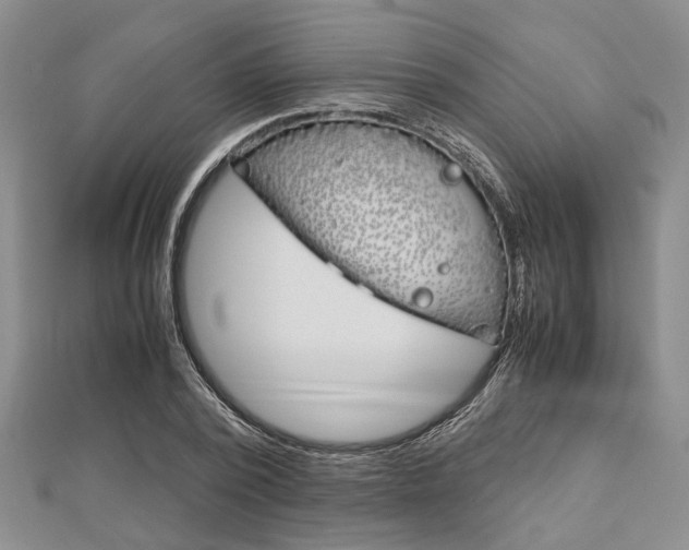 X0000113150784200909040931