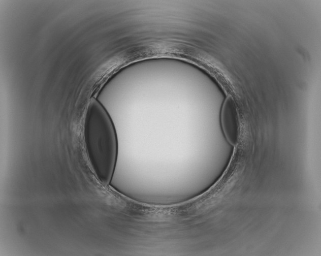 X0000113150785200909040931