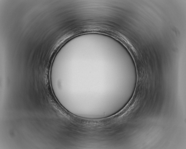 X0000113150786200909040931