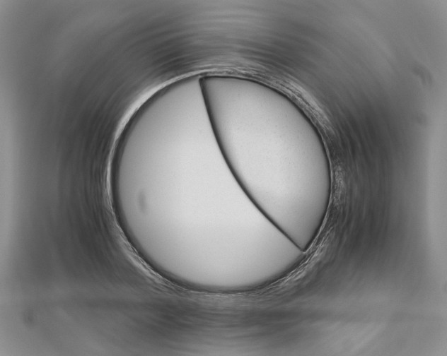 X0000113150788200909040931