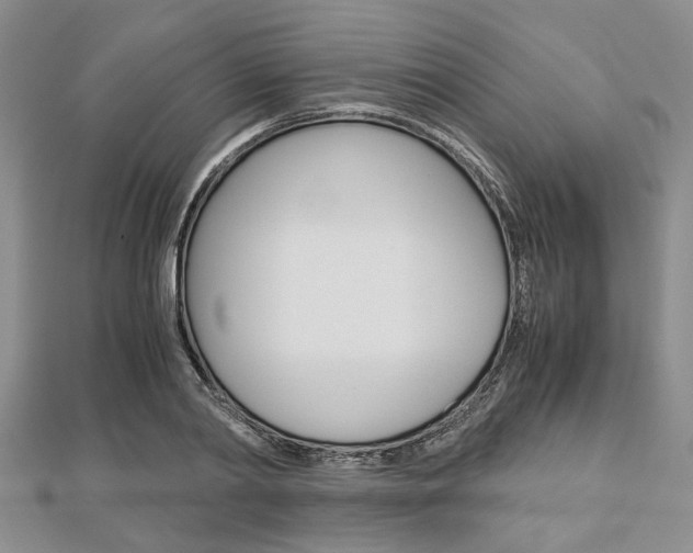 X0000113150790200909040931