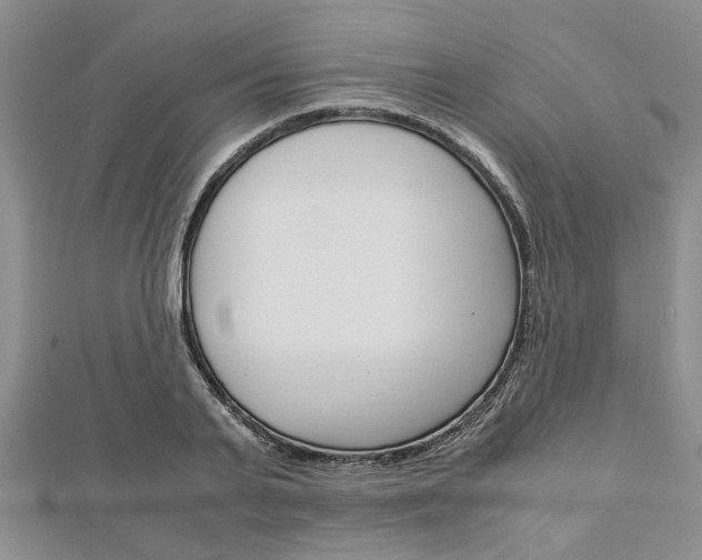 X0000113150791200909040931