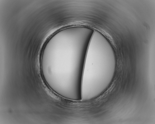 X0000113150792200909040931