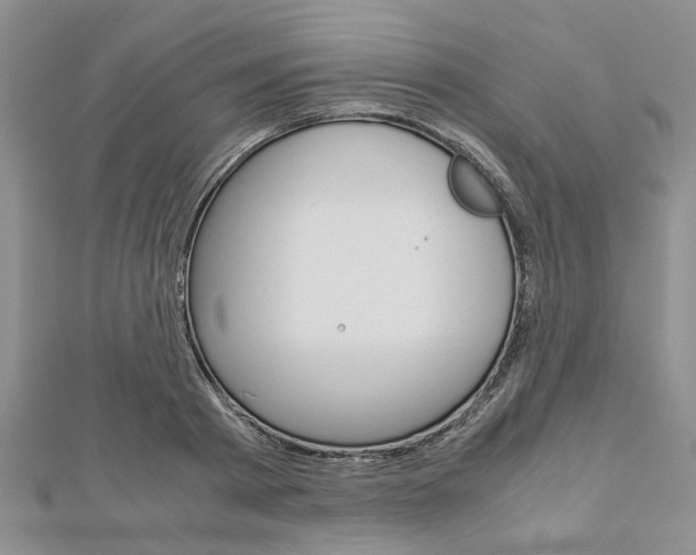X0000113150793200909040931