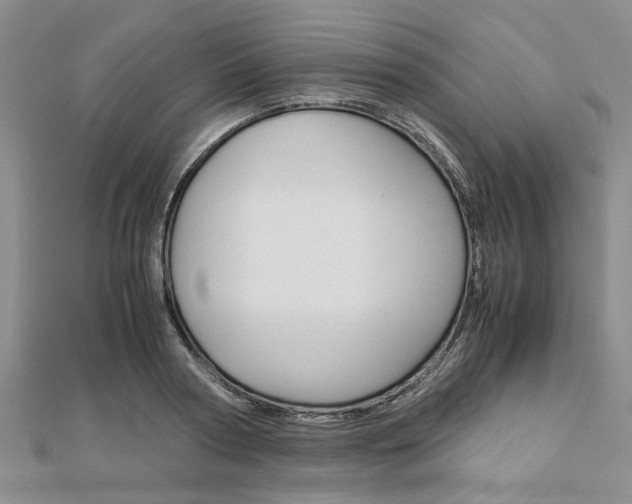 X0000113150794200909040931