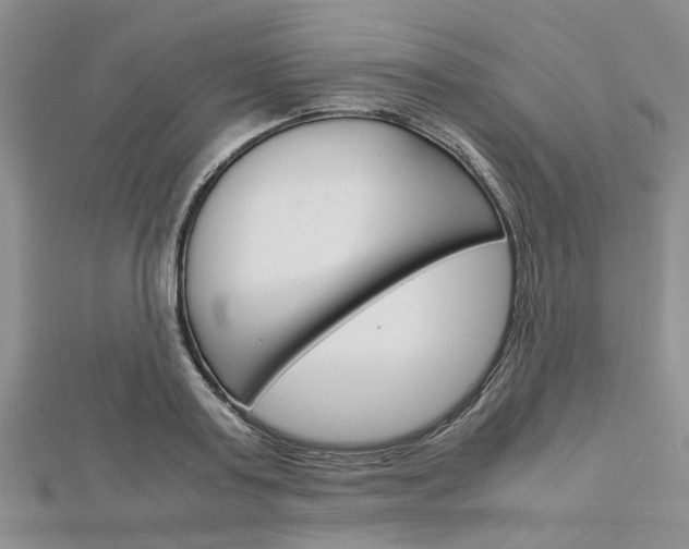 X0000113150795200909040931