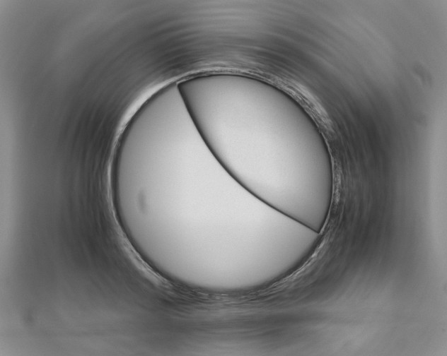 X0000113150796200909040931