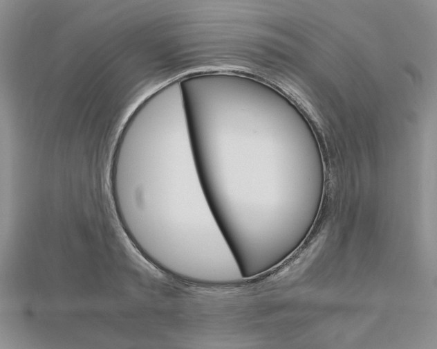 X0000113150797200909040931