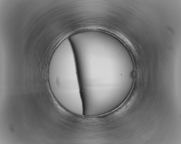 X0000113150801200909040931