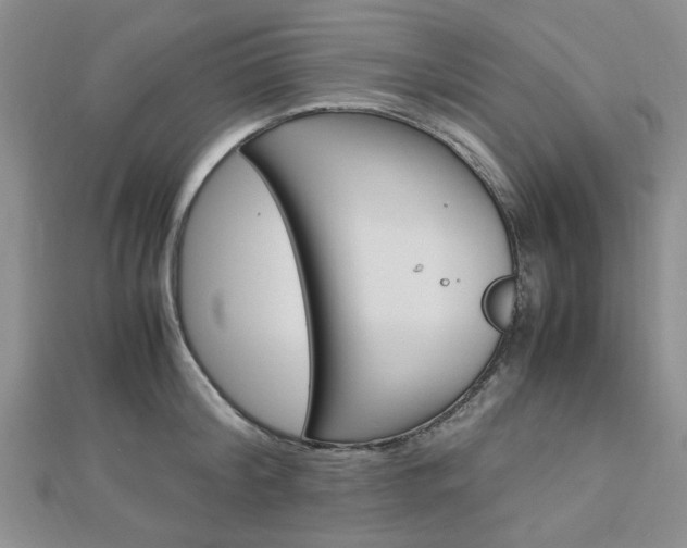 X0000113150804200909040931
