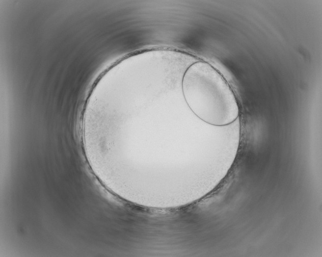 X0000113150807200909040931
