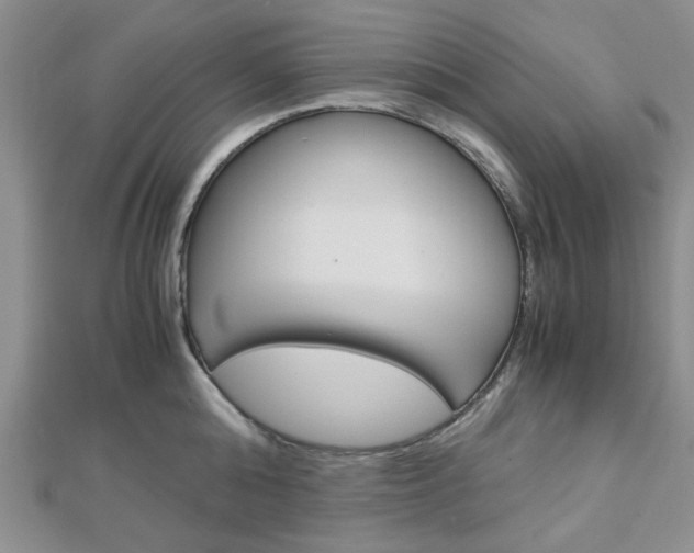 X0000113150808200909040931