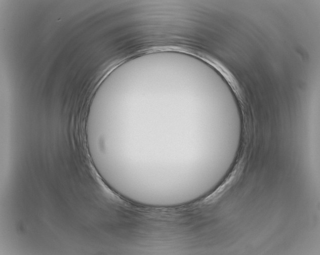 X0000113150809200909040931