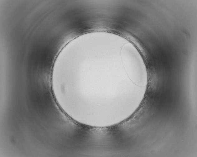 X0000113150810200909040931