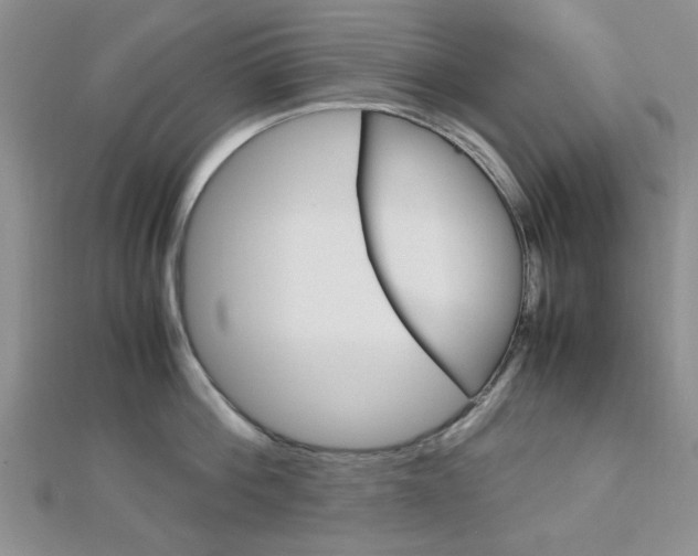 X0000113150812200909040931