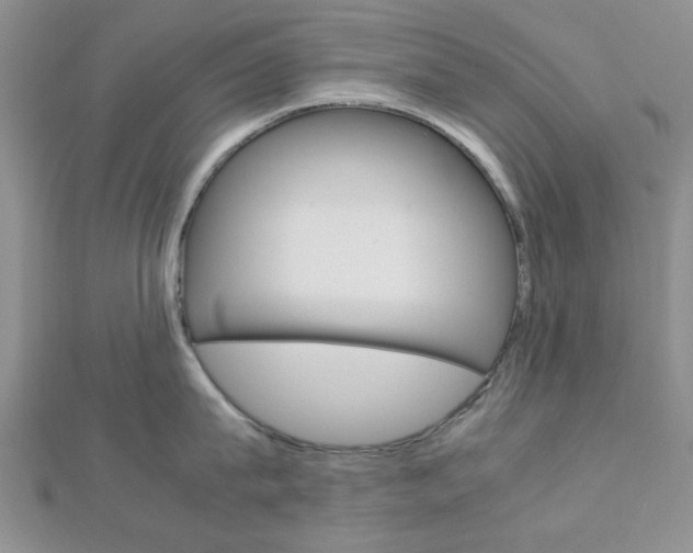 X0000113150815200909040931