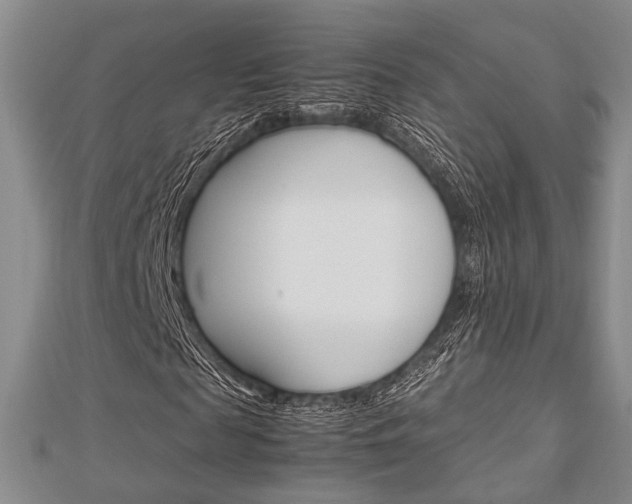 X0000113150817200909040930