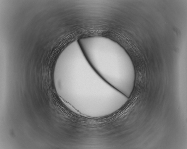 X0000113150818200909040930