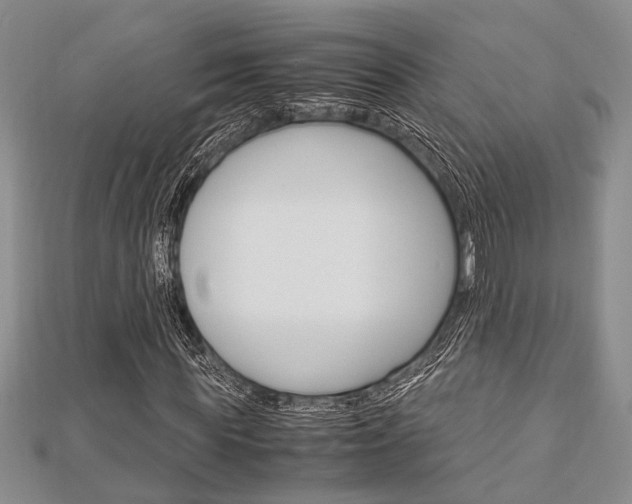 X0000113150819200909040930