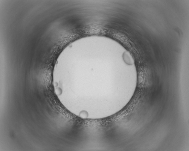 X0000113150820200909040930