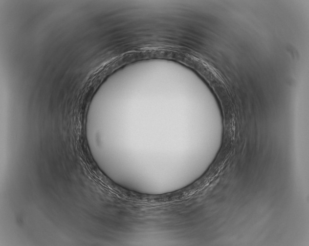 X0000113150821200909040930