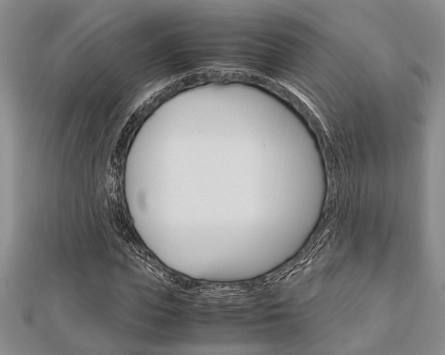 X0000113150823200909040930