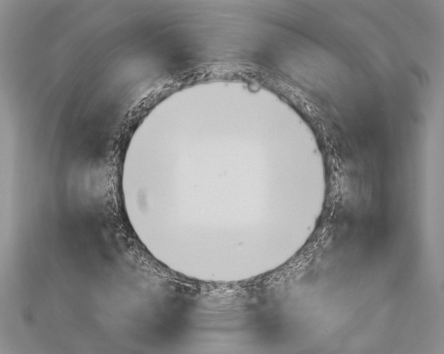 X0000113150824200909040930