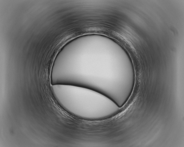 X0000113150825200909040930