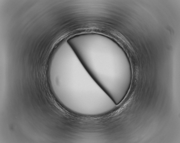 X0000113150826200909040930