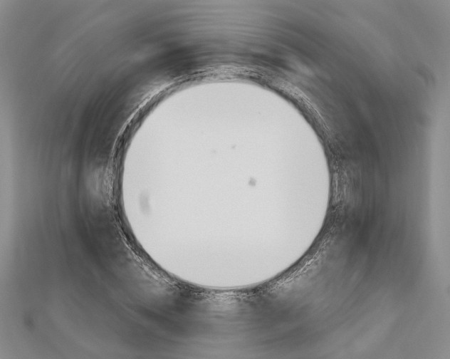 X0000113150828200909040930