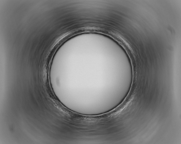 X0000113150829200909040930