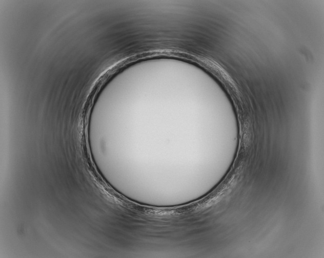 X0000113150831200909040930
