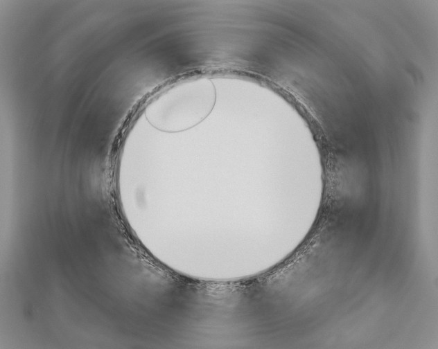 X0000113150832200909040930