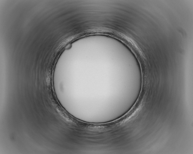 X0000113150833200909040930